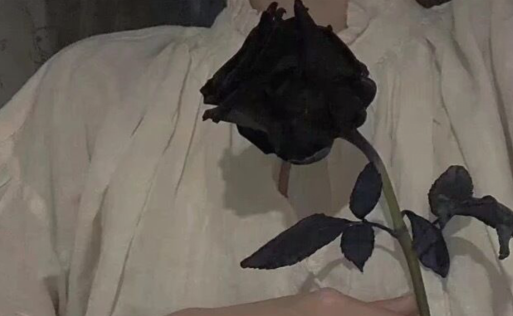 霸气和野蛮的句子太酷了1