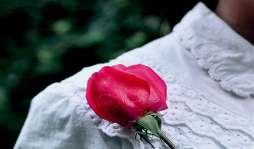 40个字使一个人流泪