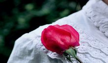 感动男人落泪的话40句