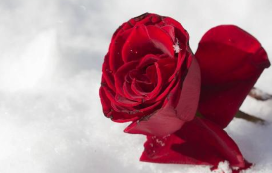 男人喜欢听到的致命爱情话