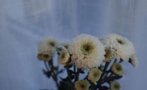 深夜悲伤的句子1