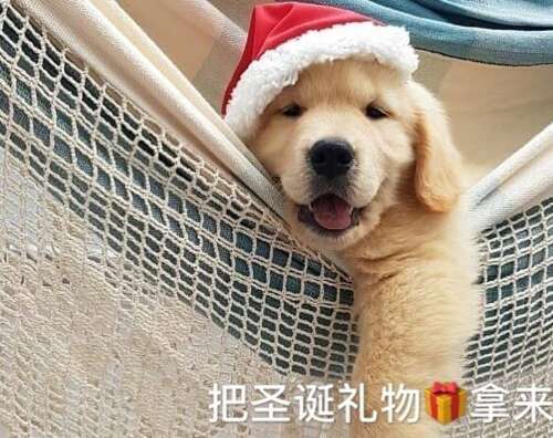 适合圣诞节的片刻文案