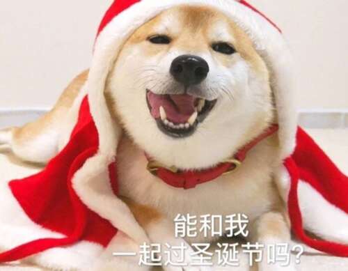 适合圣诞节和圣诞节短句的片刻文案1