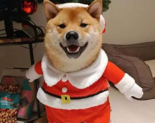 适合圣诞节和圣诞节短句的瞬间广告文案2