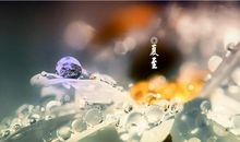 2020夏至说说发朋友圈