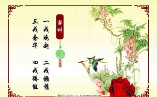 家庭风格和座右铭