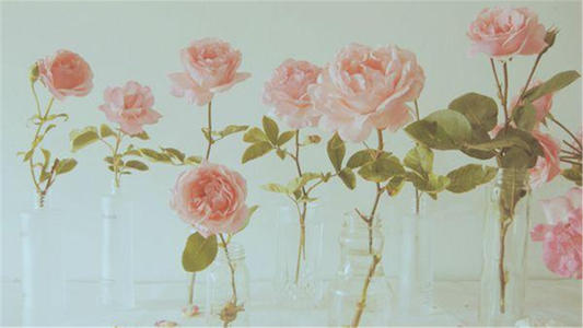 生活是幸福的一句话生活必须是幸福的一句话2