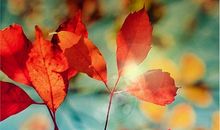 自己要开心的句子 提醒自己要开心的句子