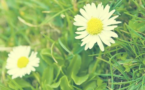 高情商的单词使女孩满意的句子使女孩快乐1