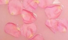 季节性的开心句子 季节性的开心唯美经典句子