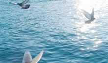 在世界上很开心的句子 在世界上很开心的正能量句子