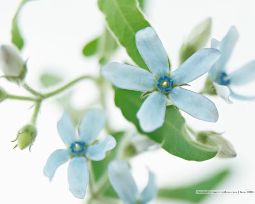 世界上快乐的句子世界上快乐的正能量句子2