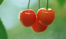 形容开心的句子 形容开心的唯美句子