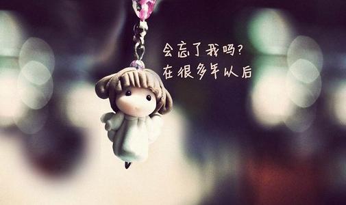 个别签名的句子