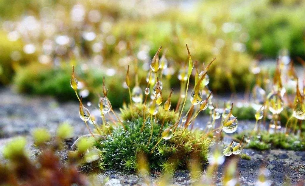 有阳光的心美丽句子1