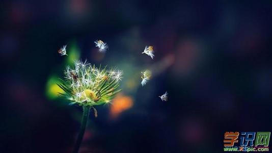 个性签名表达爱意