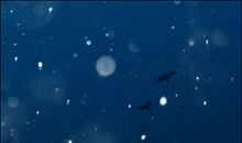 2020最新心情说说抖音