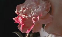 写给傻傻的自己 致自己的一句话简短