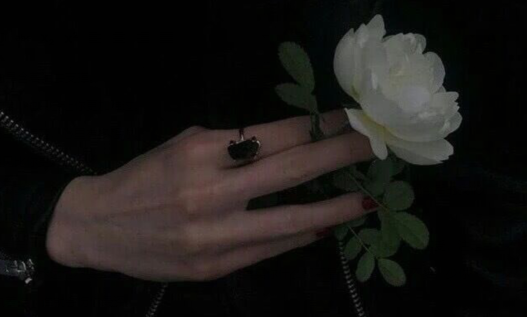 最刺耳的二十个单词