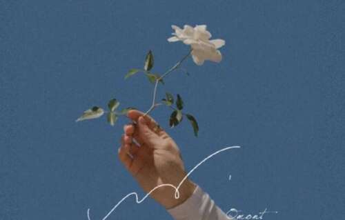 高EQ发圈中的句子简短而简洁1