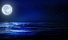 形容夜晚美景的句子