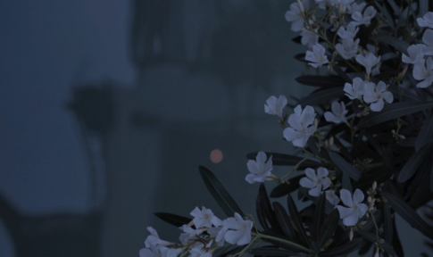 生存最困难，最经典的句子