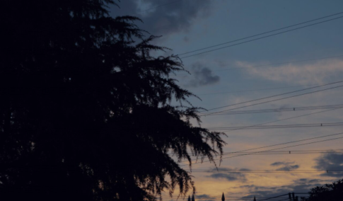 生存最难，最经典的句子1