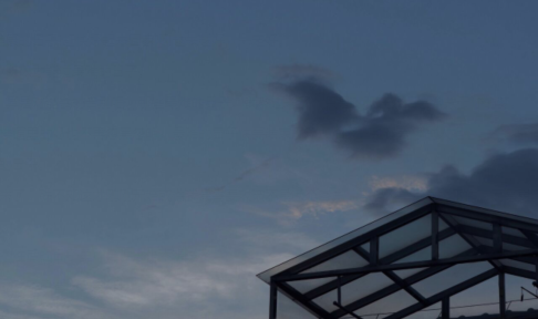 生存最难，最经典的句子2