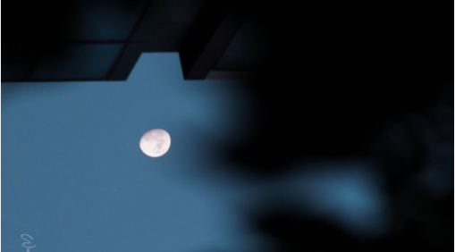 TikTok最新最热门的感伤句子