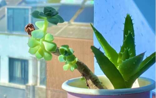 励志短句霸气于自己