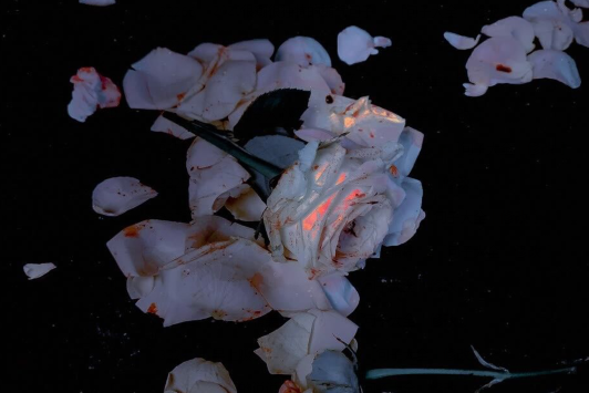 超级甜美和闷热的短情话