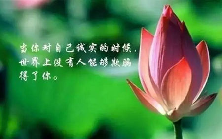 人生感悟的句子和图画，经典人生感悟的句子和图画