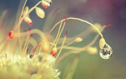 人生感悟2017最新节选1