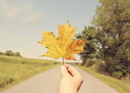 我想在生活中做点事。 1个