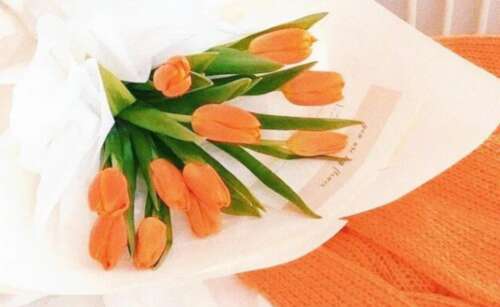 在朋友圈中的文案写作，展现日常生活的碎片