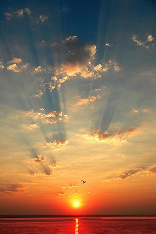 保持快乐的句子随时保持快乐的句子1