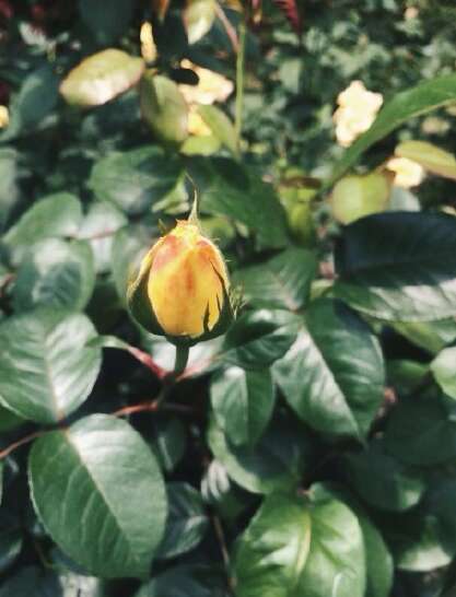 朋友们谈论夏天的时刻