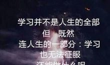 搞笑爱情宣言短句