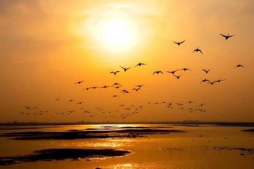 简短而深情的诗句