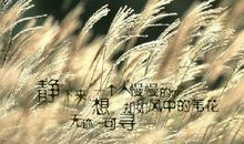 关于孤单的说说短句