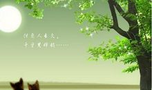 情人思念牵挂短信