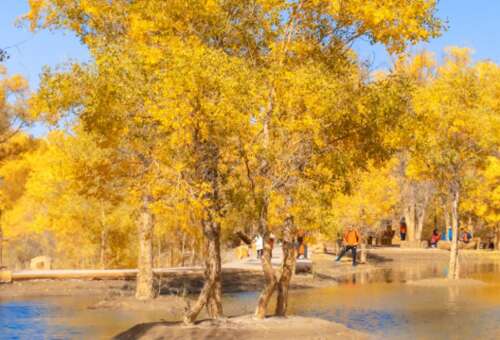 秋天的悲伤和美丽的句子2