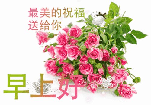 关心女孩的问候