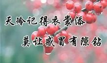 冬天最暖心的一句话