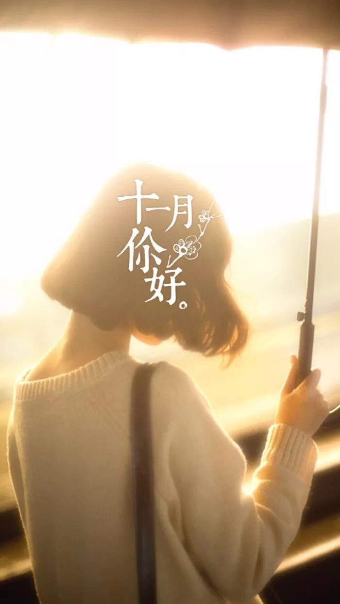 您好11月，简短谈话1