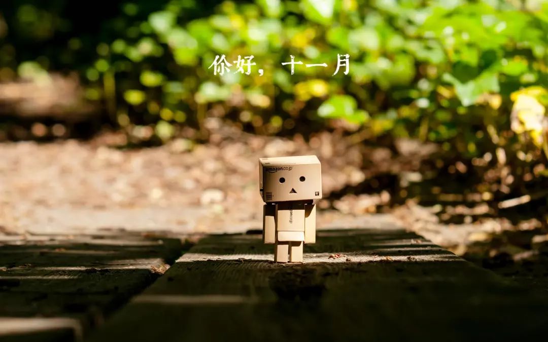 您好11月，简短讨论2