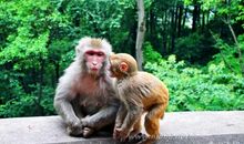 人与自然的名言