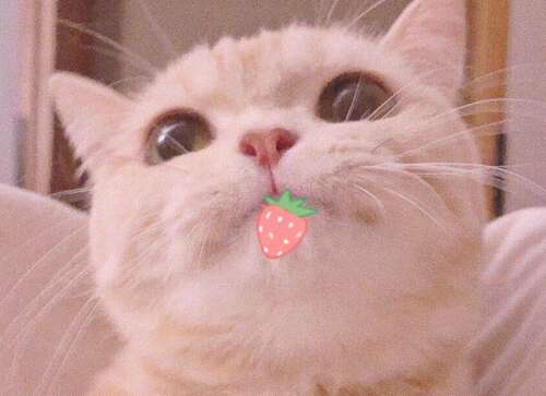 女孩心中爆炸的温柔甜美的一句话