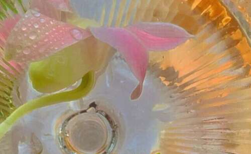 温柔爆炸的童话副本2