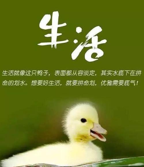 朋友的时刻正能量灵魂鸡汤